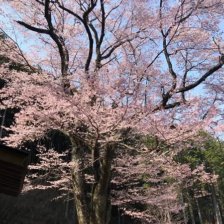 花緑里-Hanamidori-菅田ほたるの里 岐阜下呂関田園里山リゾート Gujo Exterior photo